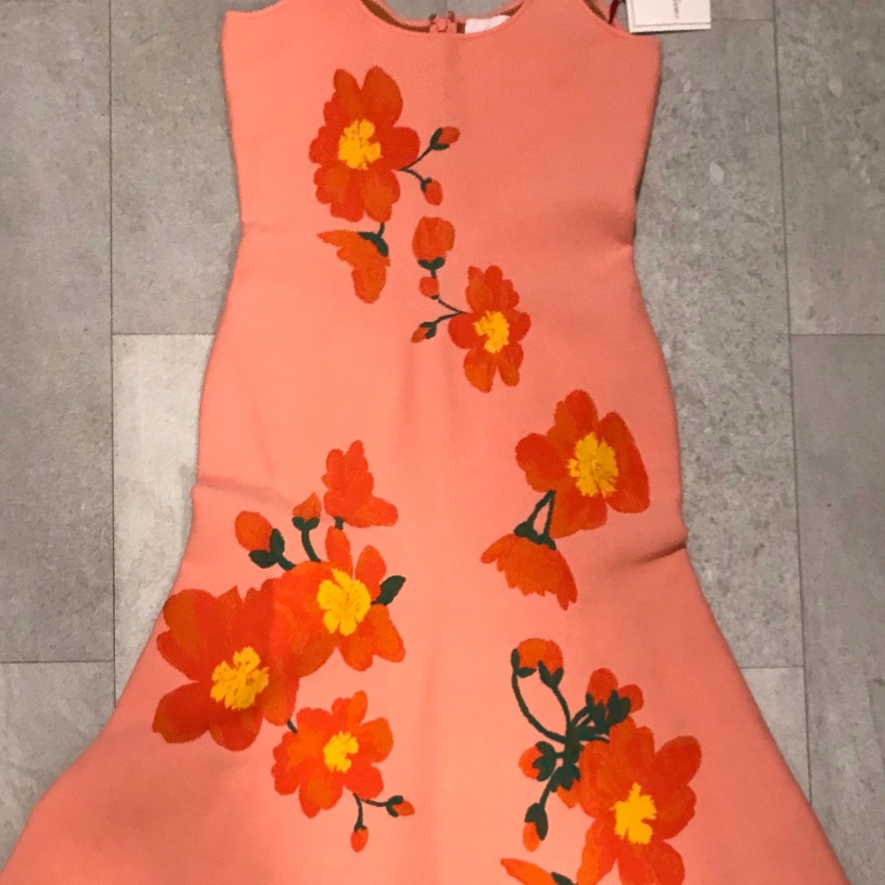 NWT: Carolina Herrera Dress